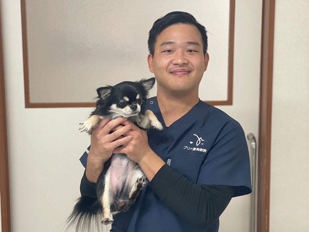 獣医師紹介