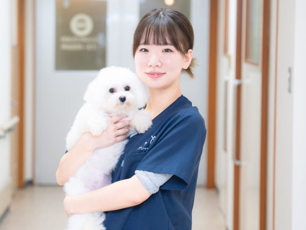 獣医師紹介