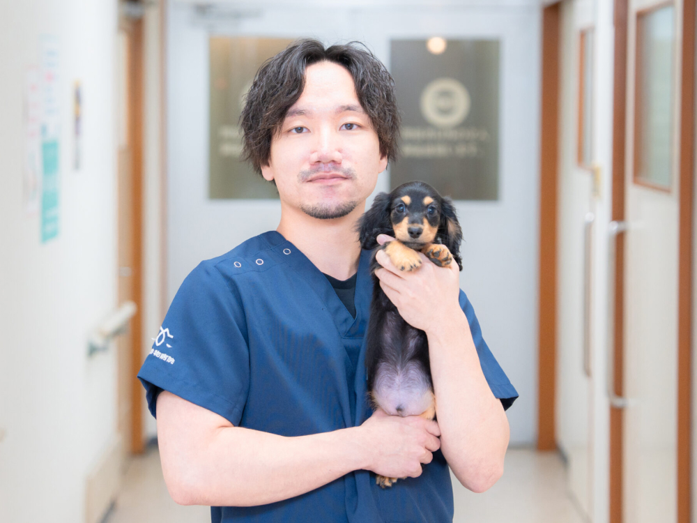 獣医師紹介